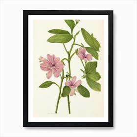 Alstromeria Vintage Botanical Flower Art Print