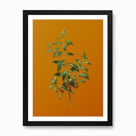 Vintage Alabama Dahoon Branch Botanical on Sunset Orange n.0187 Art Print