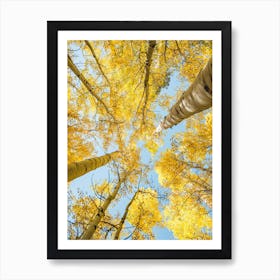 Yellow Trees Art Print