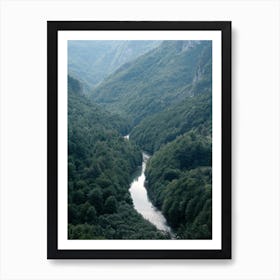 The River Through The Forest Art Print