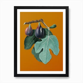 Vintage Fig Botanical on Sunset Orange Art Print