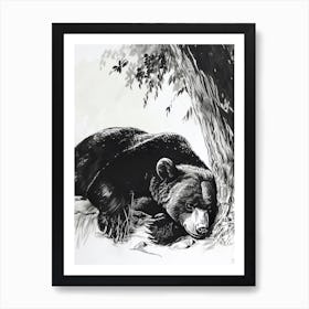 Malayan Sun Bear Laying Under A Tree Ink Illustration 3 Art Print