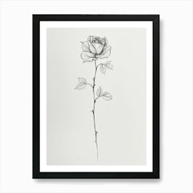 English Rose Black And White Line Drawing 27 Art Print