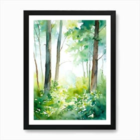 Watercolor Of A Forest 6 Art Print