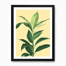 Chinese Evergreen Plant Minimalist Illustration 2 Art Print
