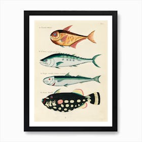 Colourful And Surreal Illustrations Of Fishes Found In Moluccas (Indonesia) And The East Indies, Louis Renard(9) Art Print