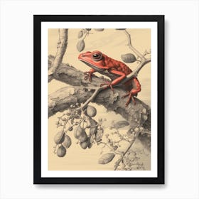 Red Tree Frog Vintage Botanical 2 Art Print