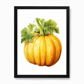 Acorn Squash Pumpkin Watercolour Illustration 3 Art Print