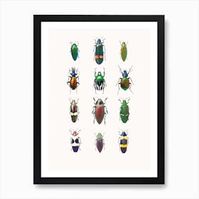 Insects III Art Print