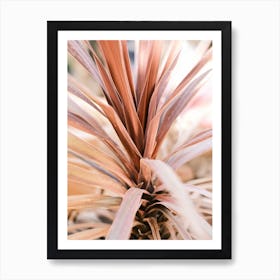 Pink Agave Leaves // Ibiza Nature Photography Art Print