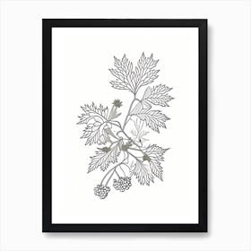 Hawthorn Herb William Morris Inspired Line Drawing 1 Art Print