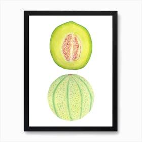 Honeydew Melon Art Print