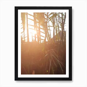 Sunset In The Palm Trees Art Print