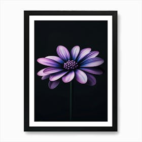 Purple Daisy 3 Art Print