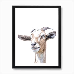 Goat Portrait Art Print