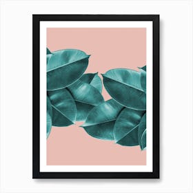 Green Blush Ficus Leaves Art Print