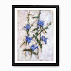 Blue Cornflowers Chicory Art Print