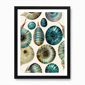 Sea Snails Vintage Graphic Watercolour Art Print