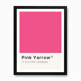 Pink Yarrow Art Print