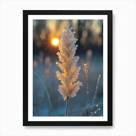 Frosty Grass Art Print