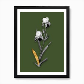 Vintage Elder Scented Iris Black and White Gold Leaf Floral Art on Olive Green n.0453 Art Print