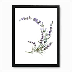 Watercolor Lavender Flower Art Print