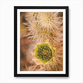 Cactus Flower Art Print