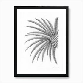 Overlooking Palm Tree Leaves Line Art Drawing Art Print