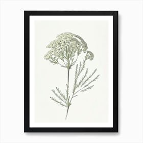 Yarrow Floral Quentin Blake Inspired Illustration 1 Flower Art Print