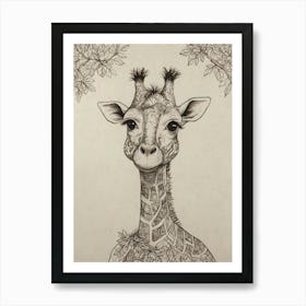 Giraffe Drawing Art Print