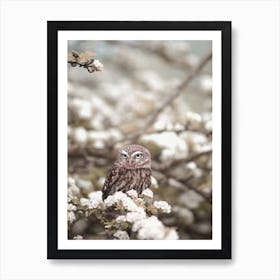 Burrowing Owl In Flowers Art Print