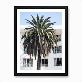 Moroccan Palm Tree Art Print