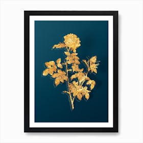 Vintage Pink Rosebush Botanical in Gold on Teal Blue n.0134 Art Print