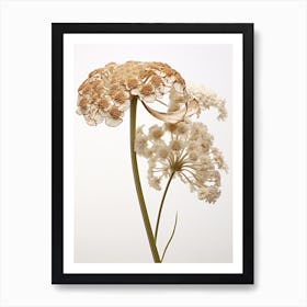 Pressed Wildflower Botanical Art Yarrow Achillea 1 Art Print