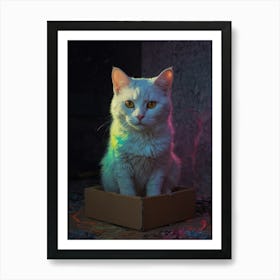 Cat In A Box 5 Art Print