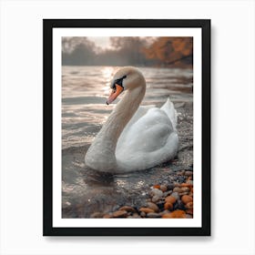 Swan In The Park 3 Art Print