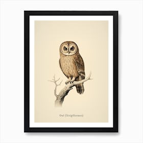 Vintage Owl Poster Art Print