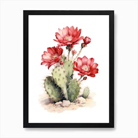 Echinocereus Cactus Watercolour Drawing 2 Art Print