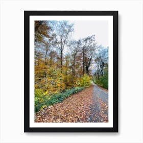 Autumn Road In The Forest Art Print