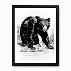 Malayan Sun Bear Standing On A Riverbank Ink Illustration 2 Art Print