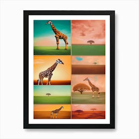 Giraffes 1 Art Print