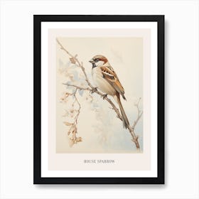 Vintage Bird Drawing House Sparrow 2 Poster Art Print