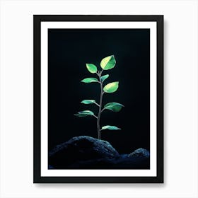 Tree Growing Out Of A Rock Poster