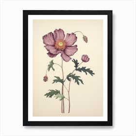 Hanaichige Japanese Anemone 1 Vintage Japanese Botanical Art Print