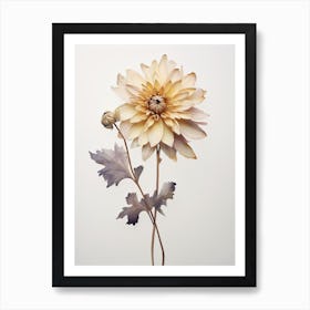 Pressed Flower Botanical Art Chrysanthemum 1 Art Print