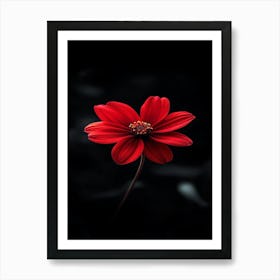 Red Dahlia Flower 2 Art Print