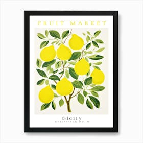 Florida Lemon Fruit 1 Art Print