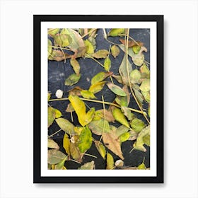 Autumn Leaves Art Print