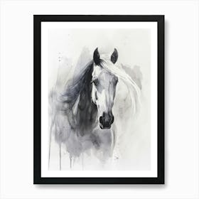 Horse Canvas Print Art Print