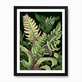 Bracken Fern Wildflower Vintage Botanical 1 Art Print